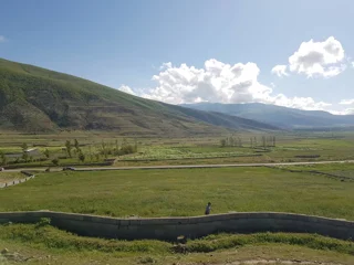 زمین کجور